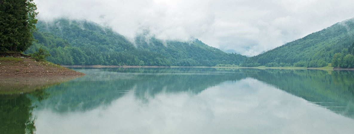 Плотина Теребле-Ріцької ГЕС